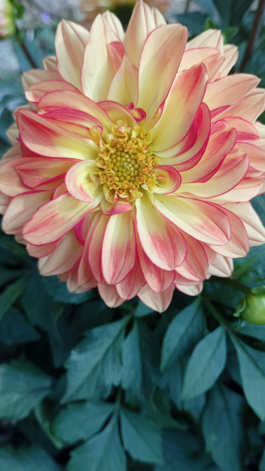 It’s a new era in design, there are no rules